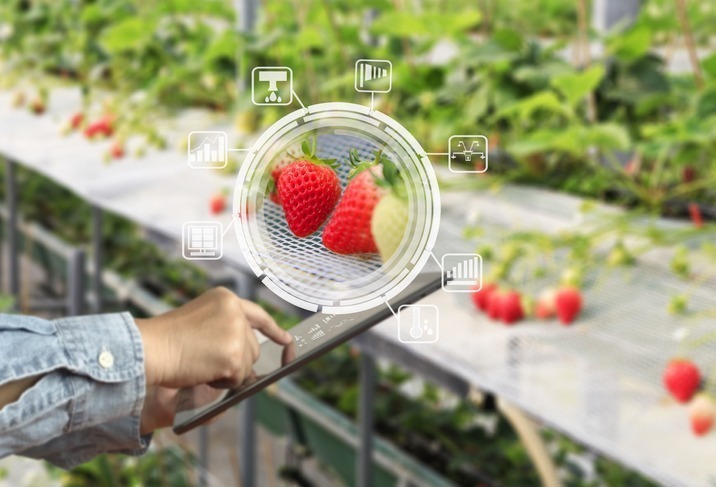 the-future-of-food-lies-in-the-data-driving-it