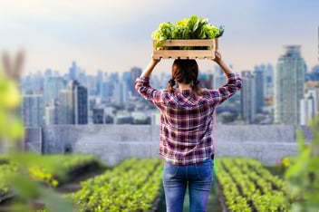 how-city-farming-transforms-the-way-we-get-our-food