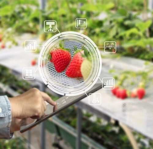 the-future-of-food-is-in-the-data-driving-it