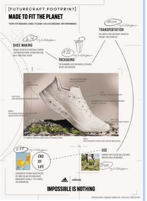 All-birds-brand-case-study