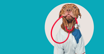 top-4-trends-set-to-disrupt-the-animal-health-industry-in-2025